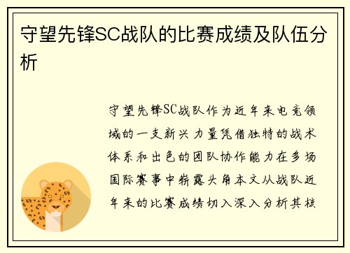 守望先锋SC战队的比赛成绩及队伍分析