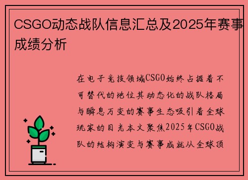CSGO动态战队信息汇总及2025年赛事成绩分析